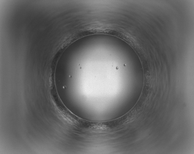 X0000070380642200606161345