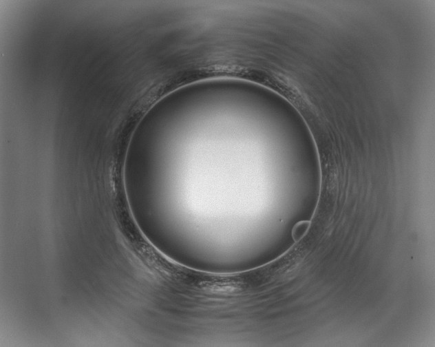 X0000070380643200606161345