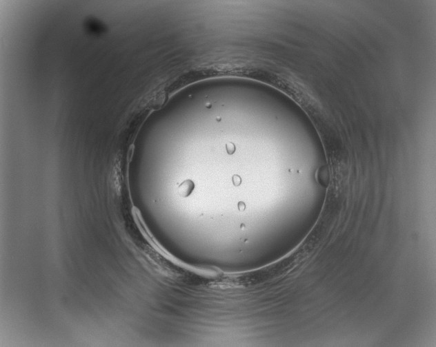 X0000070380644200606161345