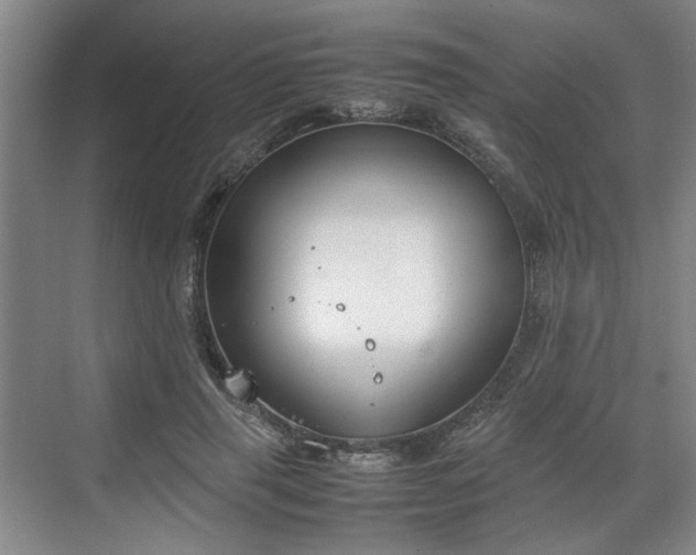 X0000070380645200606161345