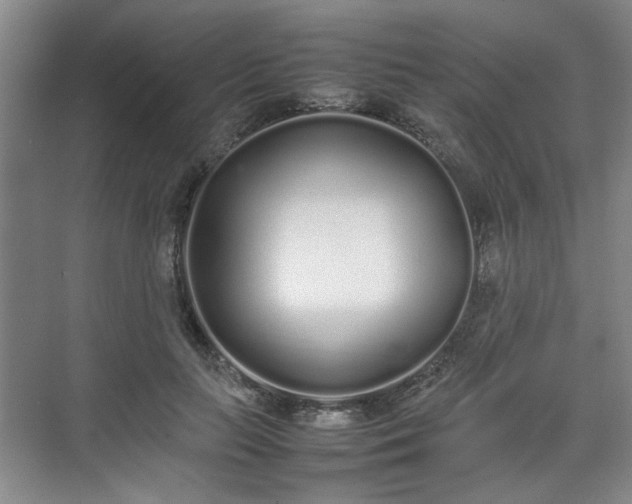 X0000070380647200606161345