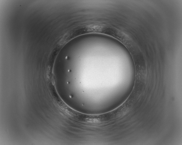 X0000070380649200606161345