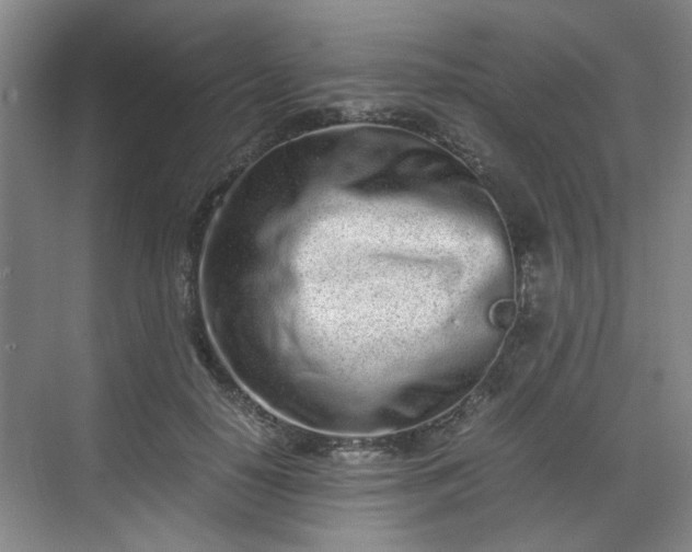 X0000070380650200606161345