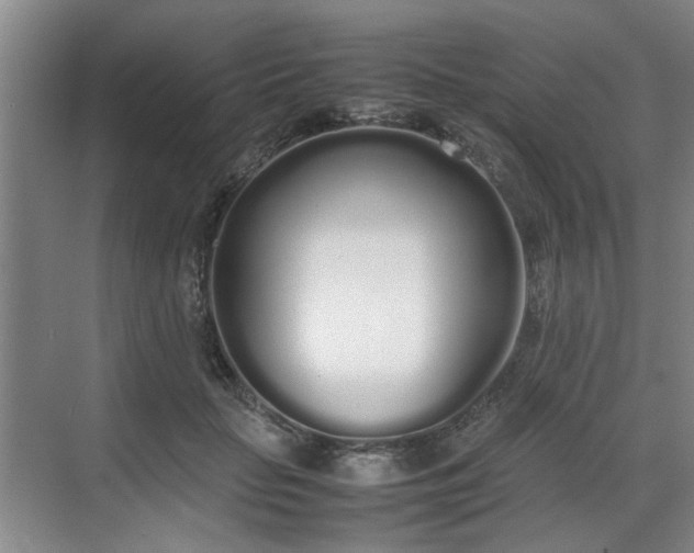 X0000070380653200606161345