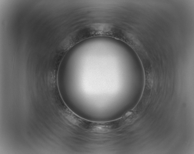 X0000070380657200606161345