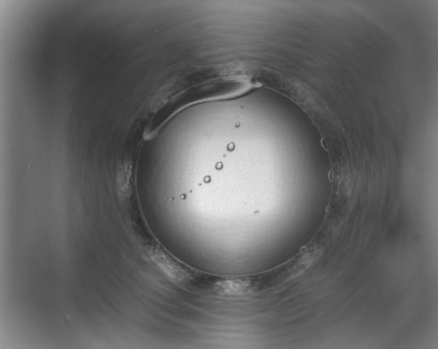 X0000070380660200606161345