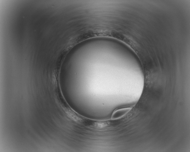 X0000070380662200606161345