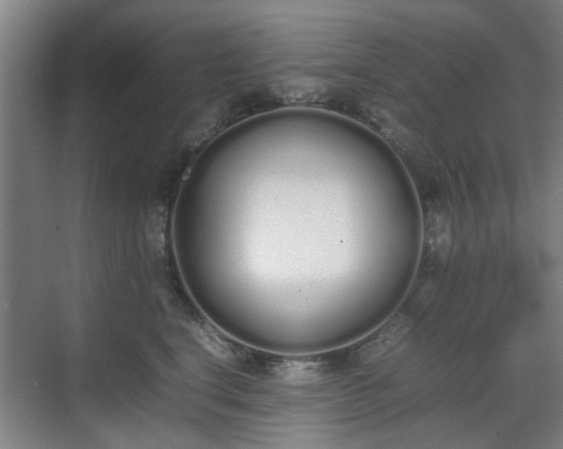 X0000070380664200606161345