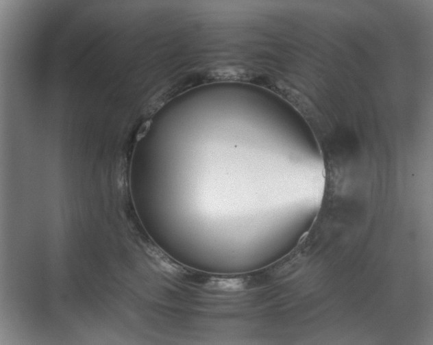 X0000070380665200606161345