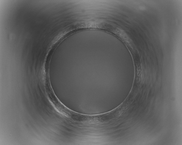 X0000070380674200606161345