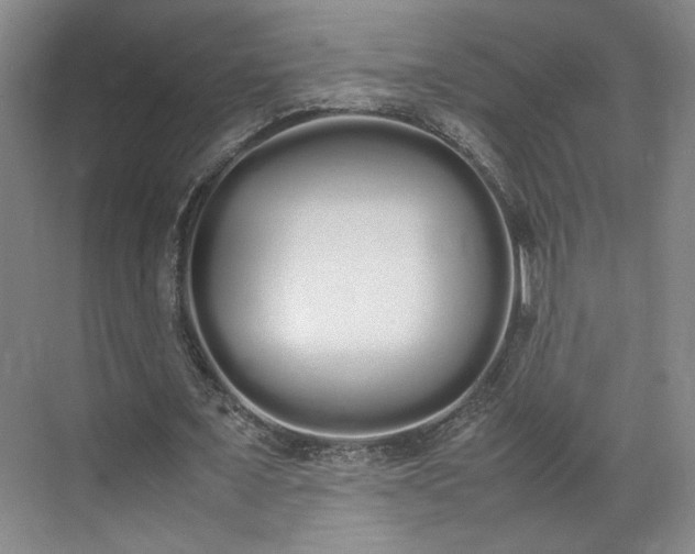 X0000070380675200606161344