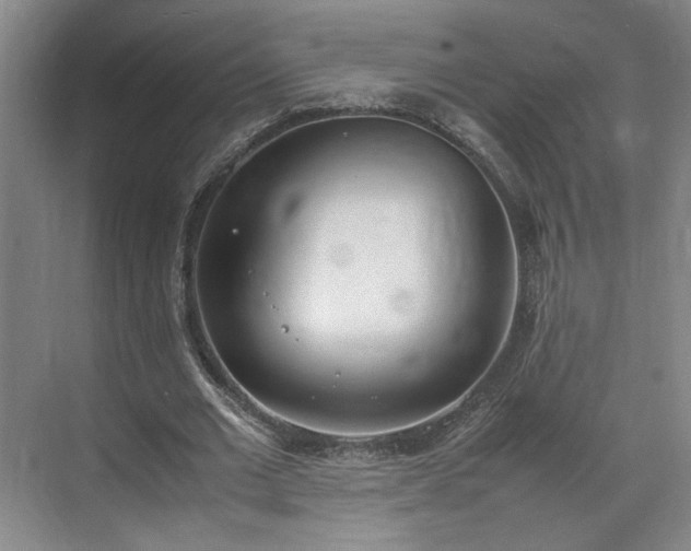 X0000070380677200606161344