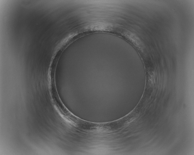 X0000070380678200606161344