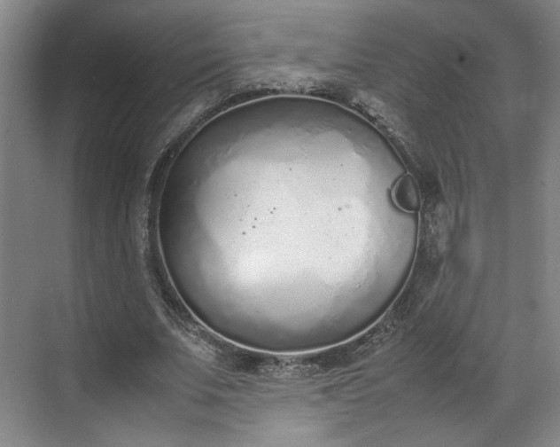 X0000070380679200606161344