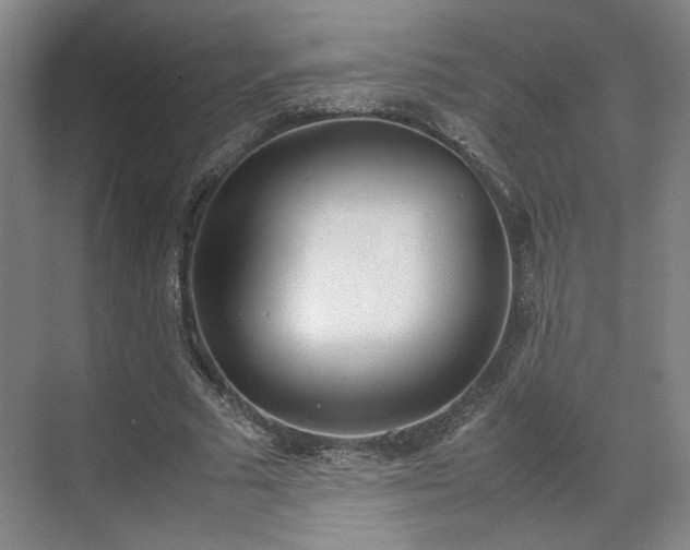 X0000070380681200606161344