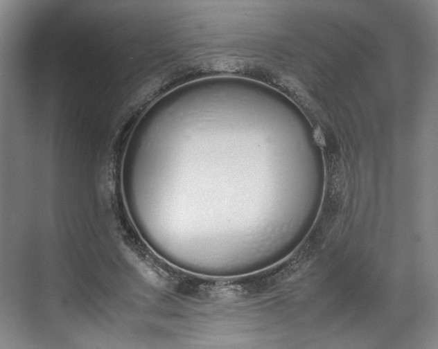 X0000070380683200606161344