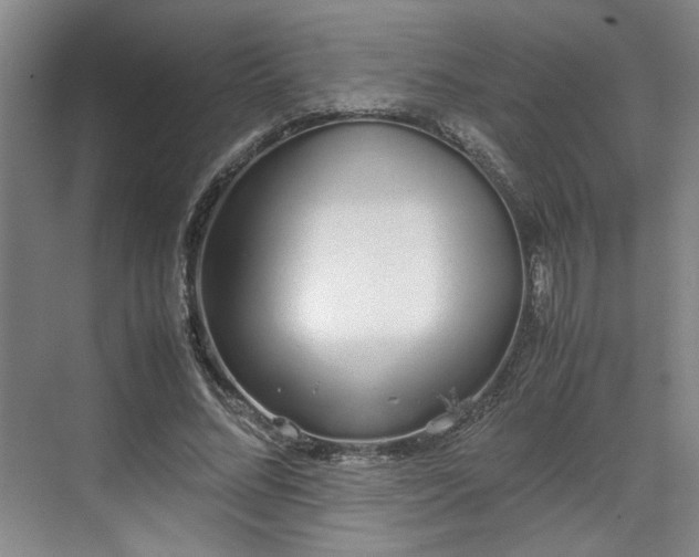 X0000070380684200606161344