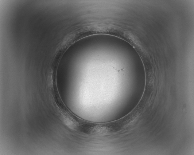 X0000070380685200606161344