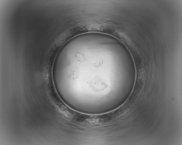 X0000070380687200606161344