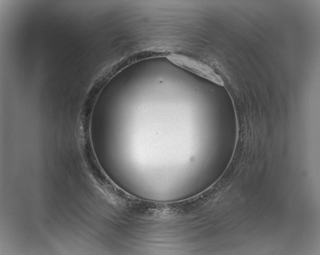 X0000070380688200606161344