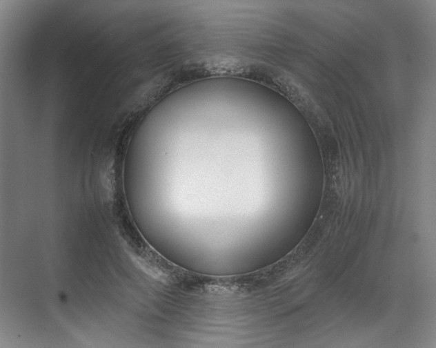 X0000070380690200606161344