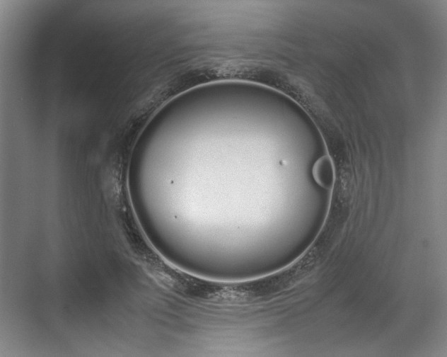 X0000070380691200606161344