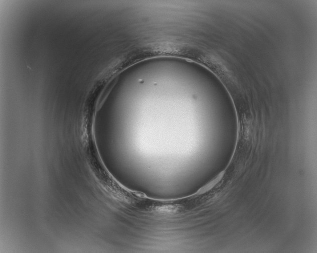 X0000070380692200606161344