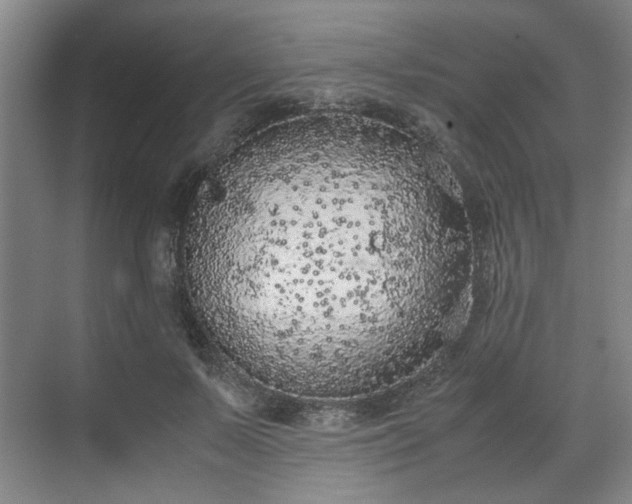 X0000070380695200606161344