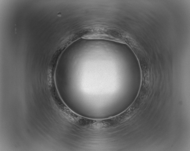 X0000070380696200606161344