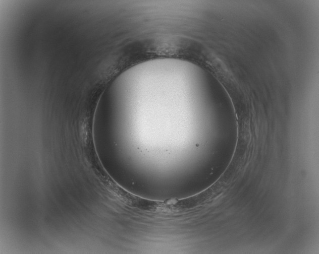 X0000070380697200606161344