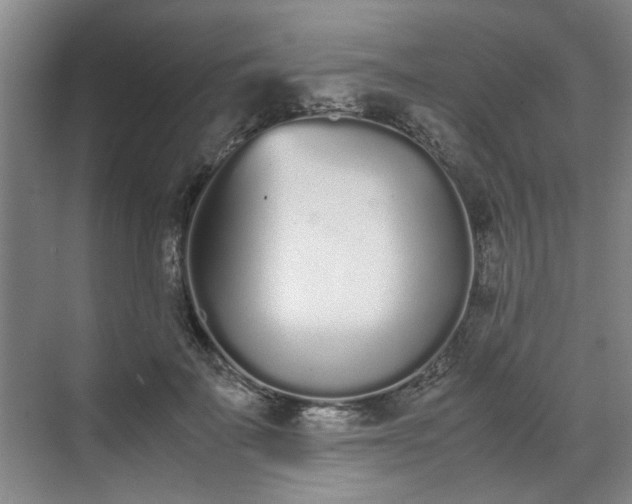 X0000070380699200606161344