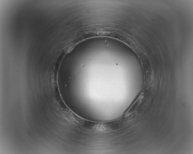 X0000070380704200606161344