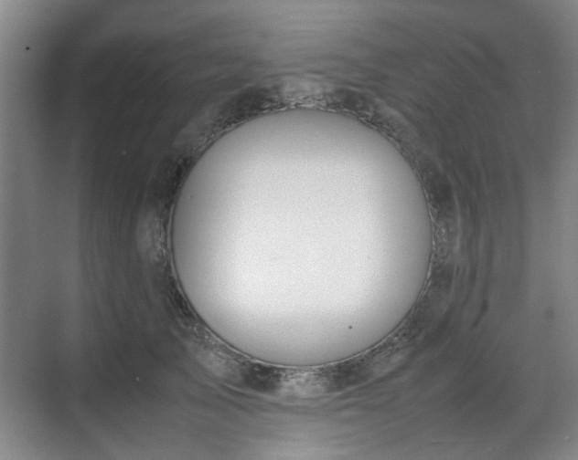 X0000070380705200606161344