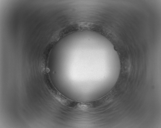 X0000070380706200606161344