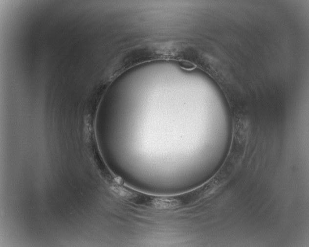 X0000070380707200606161344