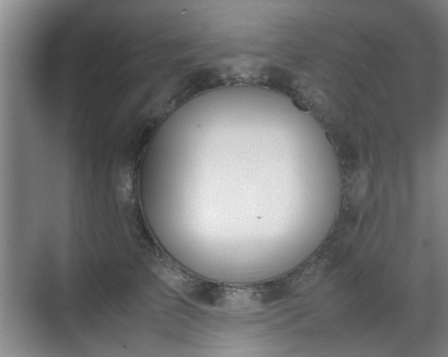 X0000070380709200606161344