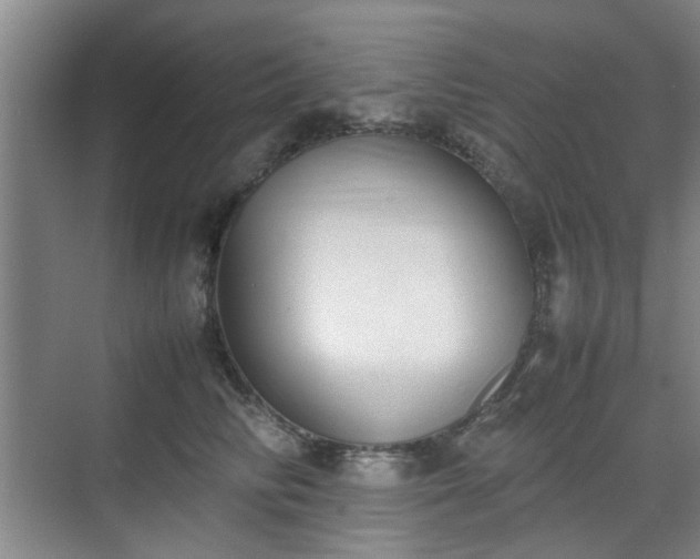 X0000070380710200606161344