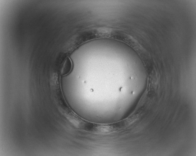 X0000070380711200606161344