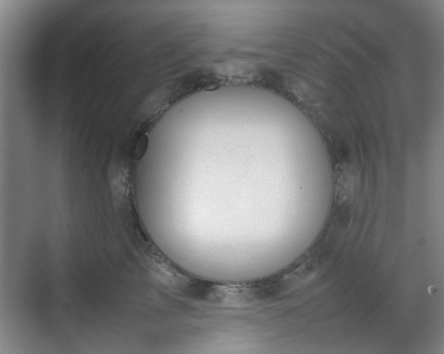 X0000070380713200606161344