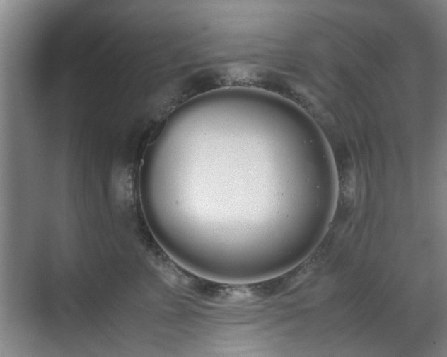 X0000070380715200606161344