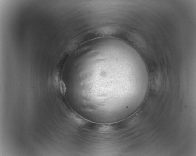 X0000070380718200606161344