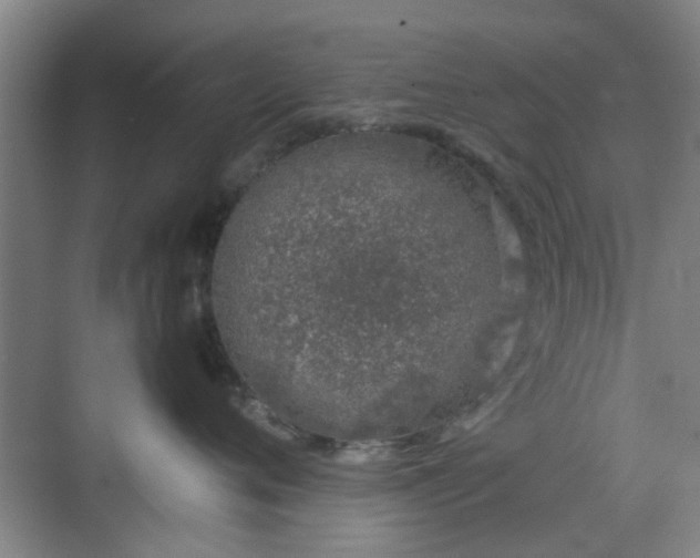 X0000070380720200606161344