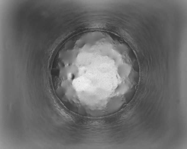 X0000070380721200606161343