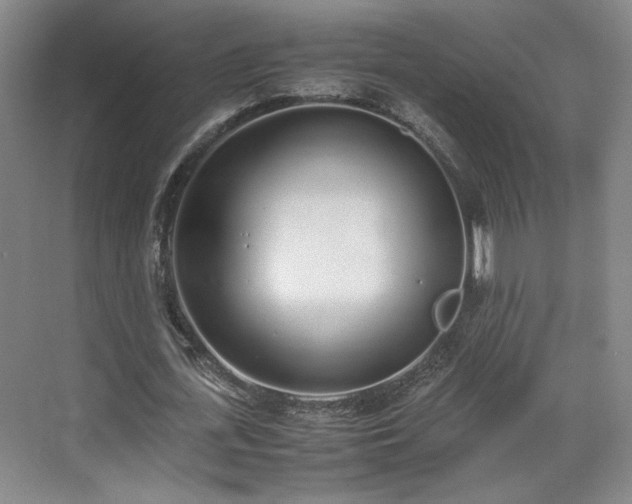 X0000070380723200606161343