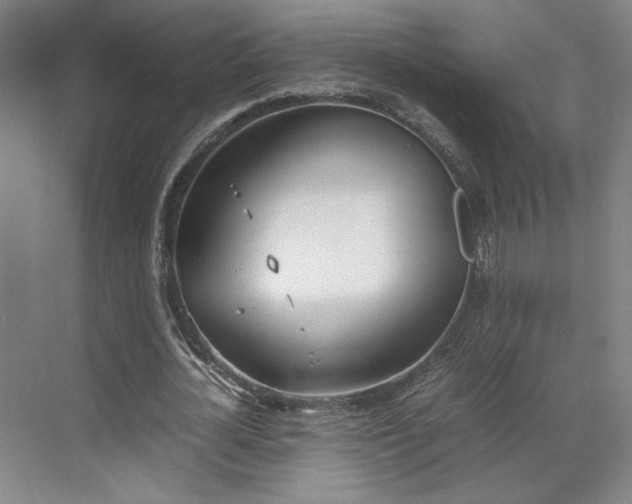 X0000070380724200606161343