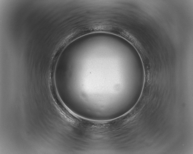 X0000070380725200606161343