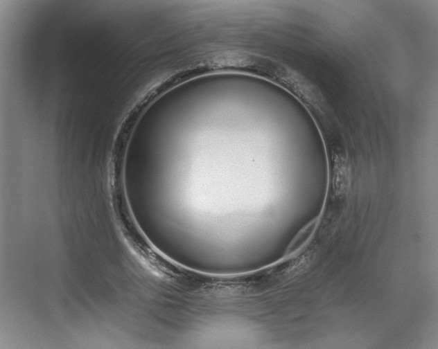 X0000070380726200606161343