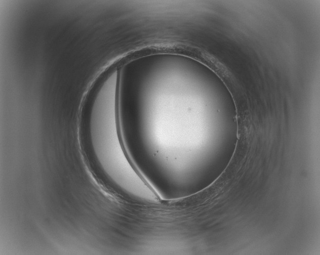 X0000070380728200606161343