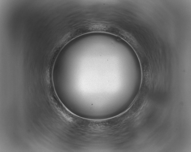 X0000070380729200606161343