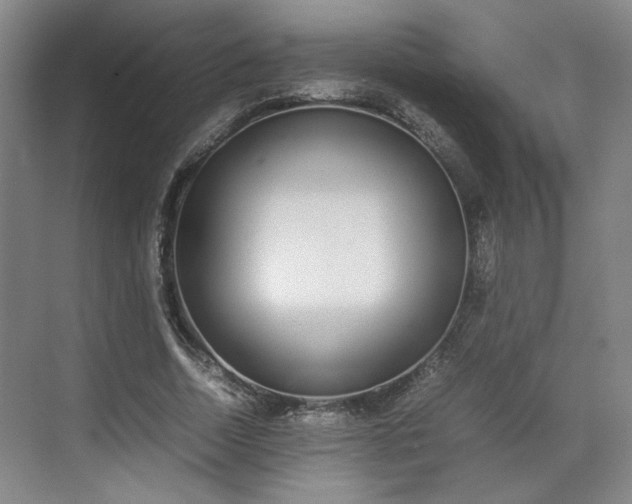 X0000070380730200606161343